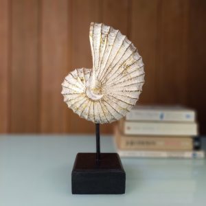 sea shell