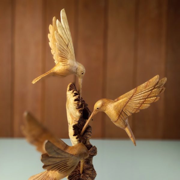 hummingbirds