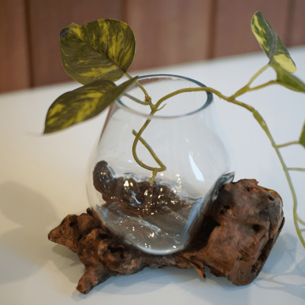 Feng Shui Glass Flower Pot – Desk & Tabletop Decoration - Image 2