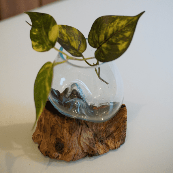 Feng Shui Glass Flower Pot – Desk & Tabletop Decoration - Image 4