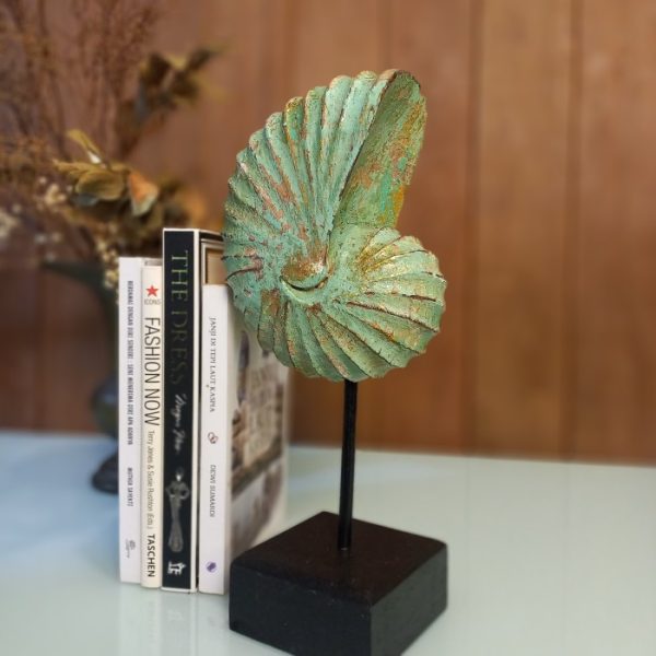 Wooden Shell